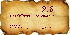 Palásthy Barnabás névjegykártya