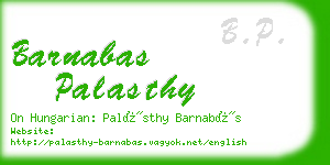 barnabas palasthy business card